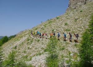 20150705-gr-pays-tour-du-haut-verdon-6