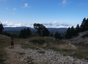 Stage Vercors 2024
