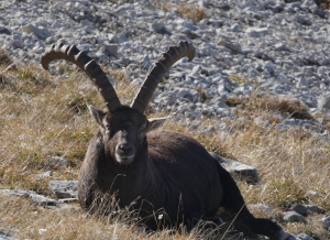 p1250766