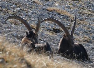 p1250776