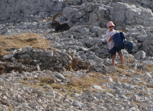 p1250787